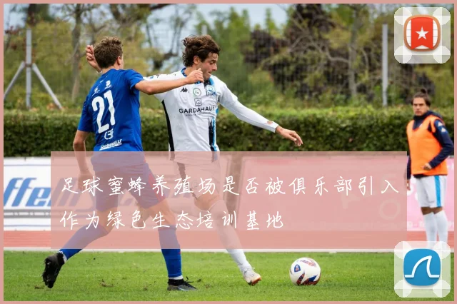 足球蜜蜂养殖场是否被俱乐部引入作为绿色生态培训基地