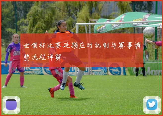 世俱杯比赛延期应对机制与赛事调整流程详解
