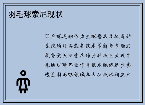羽毛球索尼现状
