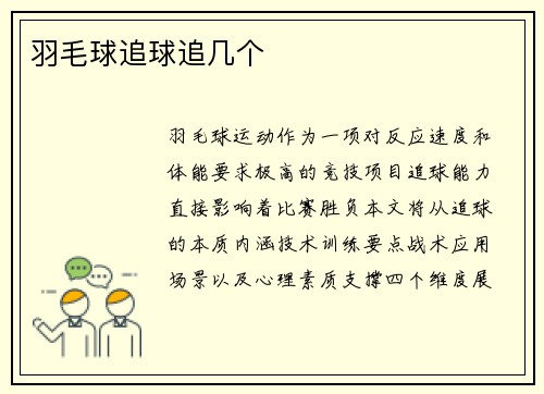 羽毛球追球追几个