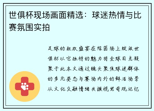 世俱杯现场画面精选：球迷热情与比赛氛围实拍